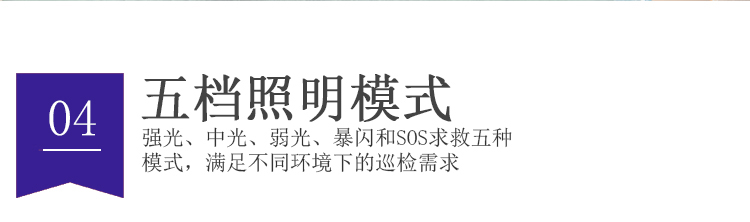 中研Z6900巡更系统(图6)